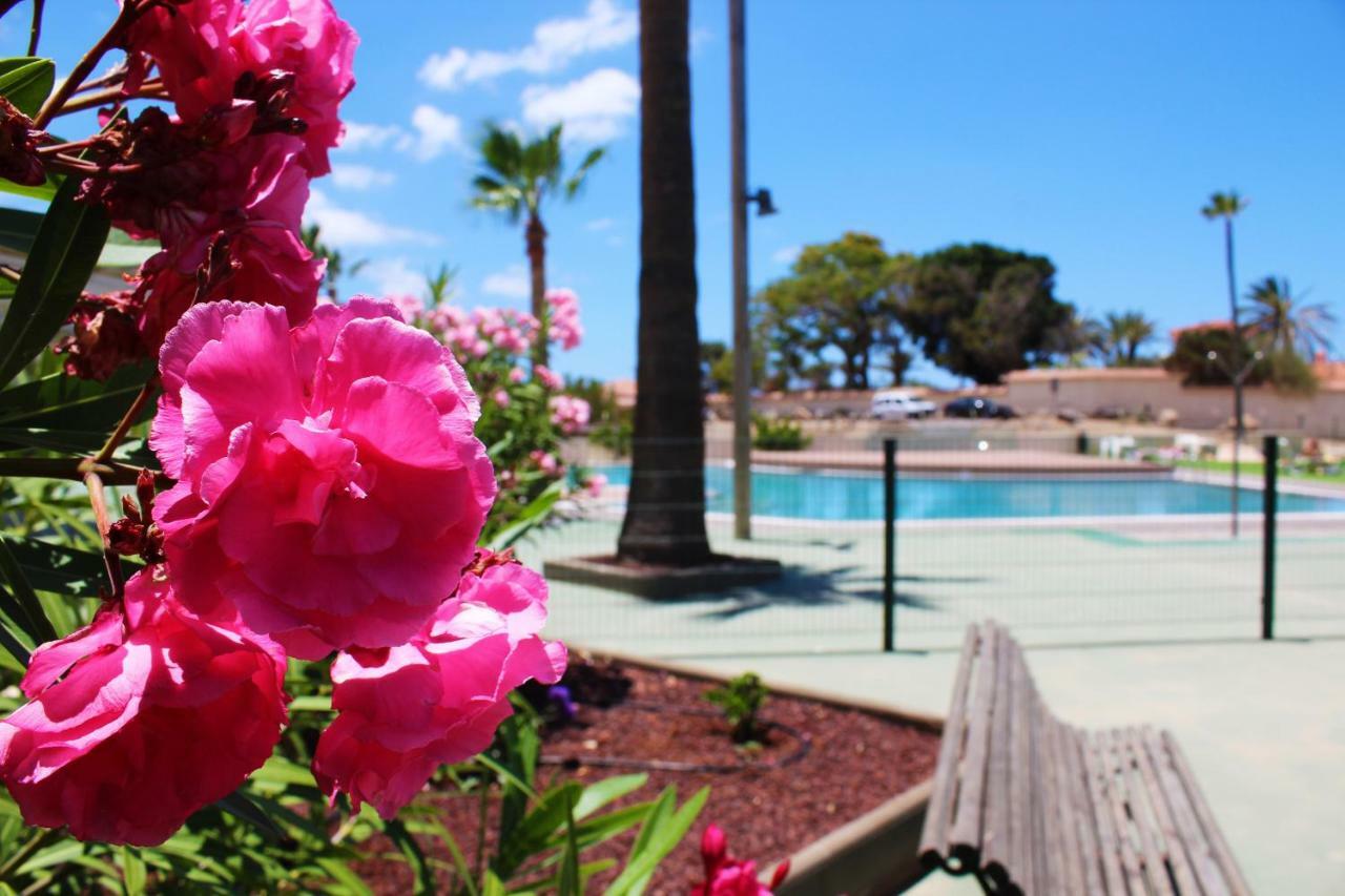 Soleado Apartamento Vistas Al Mar Los Cristianos Los Cristianos  Eksteriør bilde